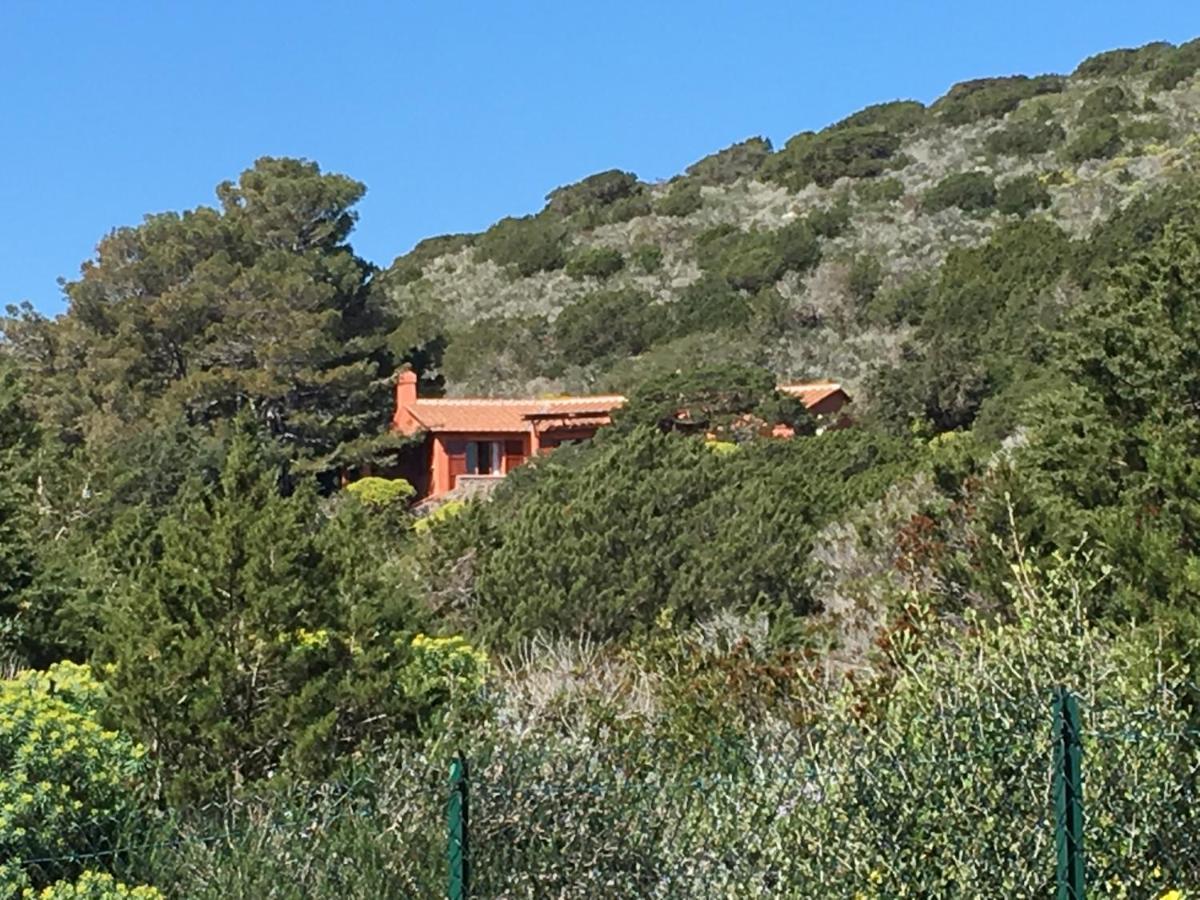 Casa Diana Île de Giannutri